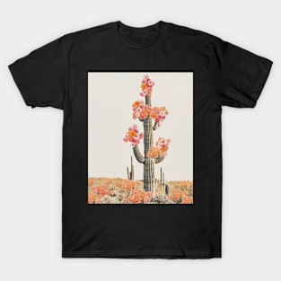 Cactus in desert with flowers T-Shirt